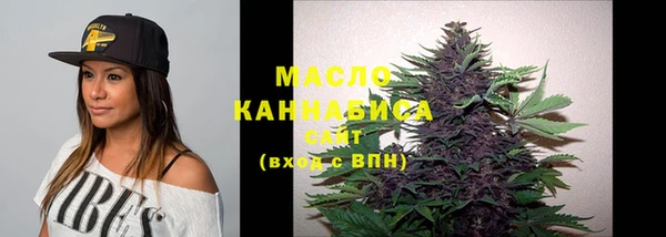 молекула духа Майский