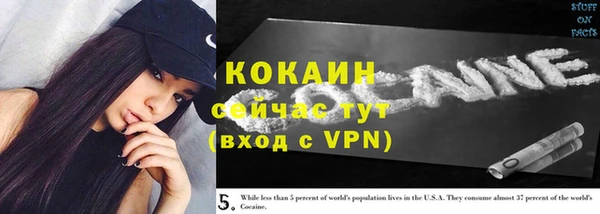 винт Вяземский