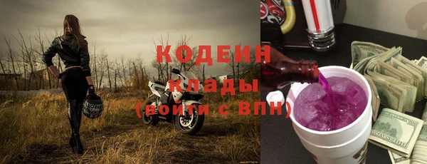 винт Вяземский