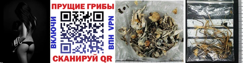 Псилоцибиновые грибы Psilocybine cubensis Далматово